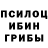 Галлюциногенные грибы мухоморы Mikhail Vertushkov